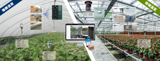 温室型植物工厂