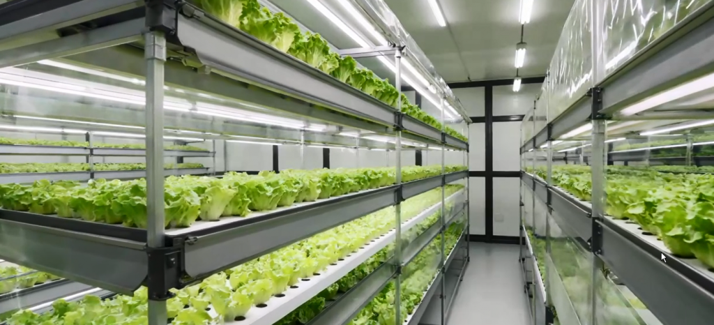 密闭型植物工厂