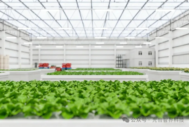 工厂化育苗：技术实现路径与成本优势