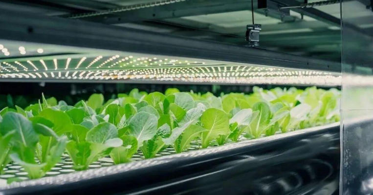 一套完整植物工厂解决方案，包含哪些核心系统？